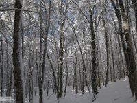 2017-12-29 V. del Morretano 166